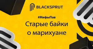 BlackSprut ссылка тор tor wiki online
