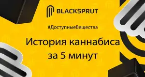 Деньги блэкспрут