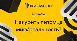 Блэкспрут зеркало blacksprut click