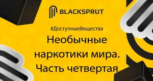 Https blacksprut com net blacksprutl1 com
